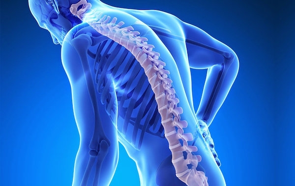 Osteoporoz - Ortopedi ve Travmatoloji Uzmanı